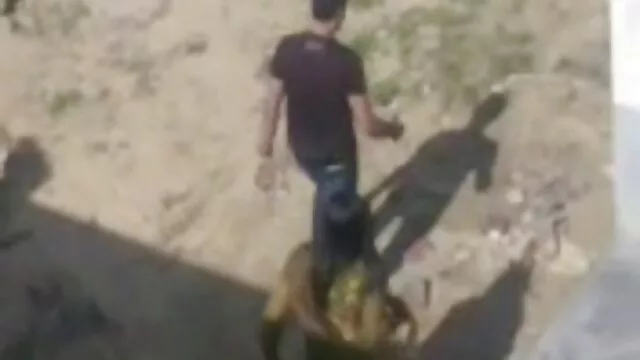 女士股 充满激情的女同志性爱
