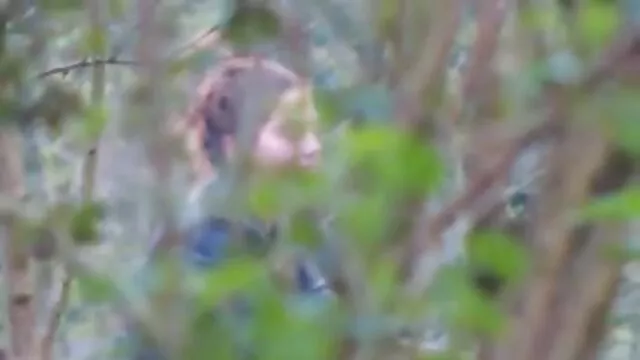 硬奴隶的一个婊子HD 成熟的女同性恋诱惑