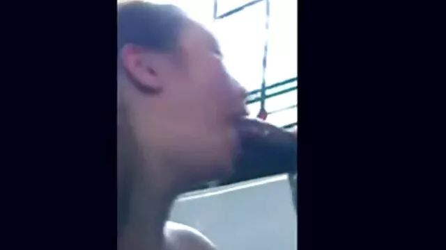 与朋友一起生活 女同性恋性代词