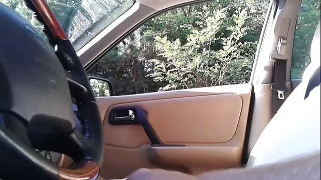 亚历克西斯是完美的绑定 女同性恋色情的双胞胎